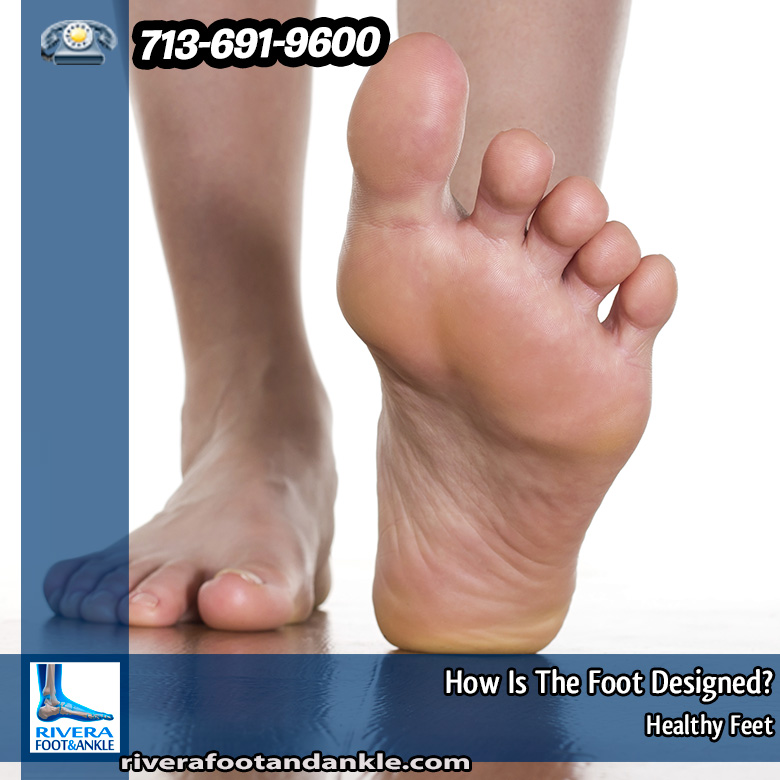 11-Foot-&-ankle-specialists
