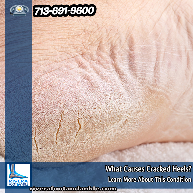 05-Foot-and-Ankle