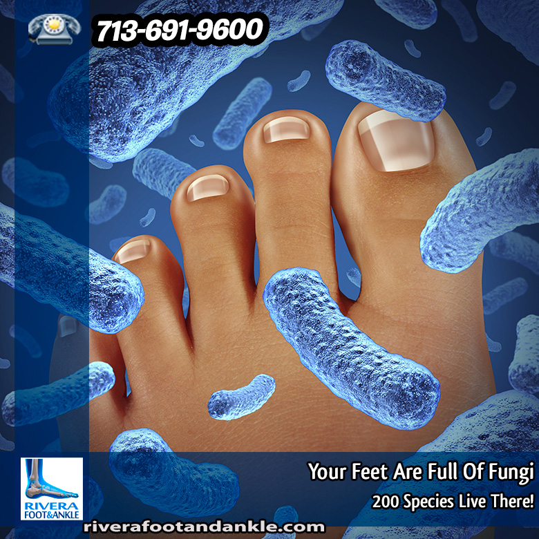15 Podiatrist in houston