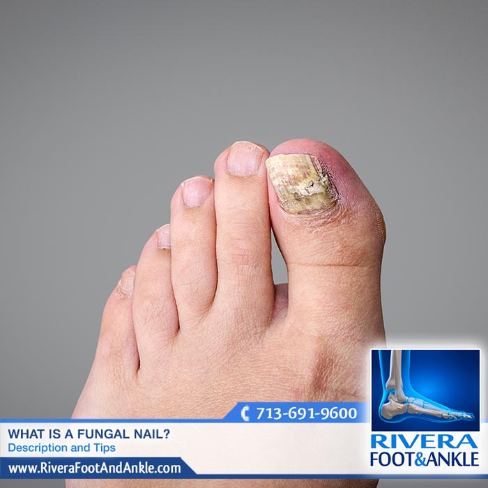 131016 Best Foot and Ankle Podiatry