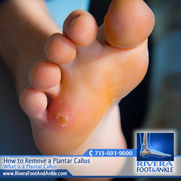06 Foot and Ankle Podiatry