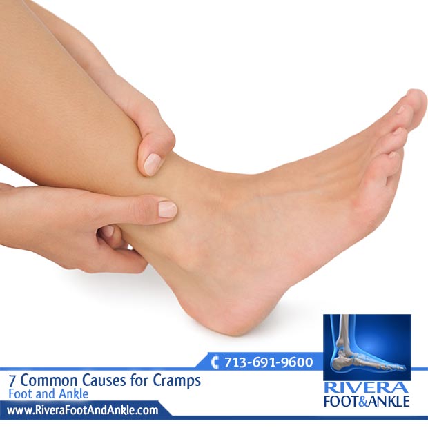 08 Foot and Ankle