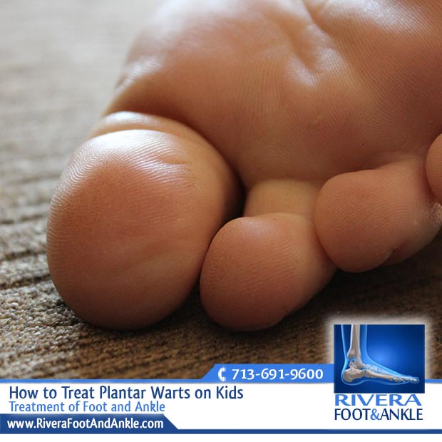 26 Treatment of Foot and Ankle