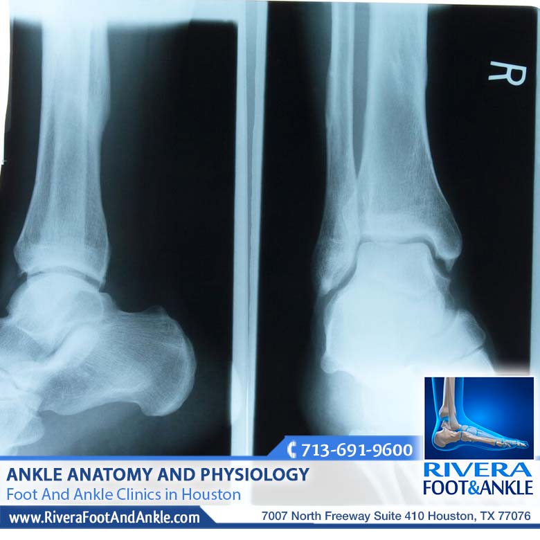 030118 Foot And Ankle Clinics in Houston