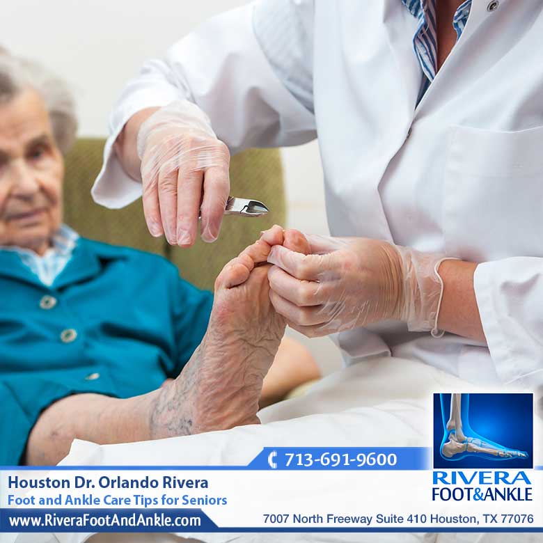 28 Houston Dr Orlando Rivera
