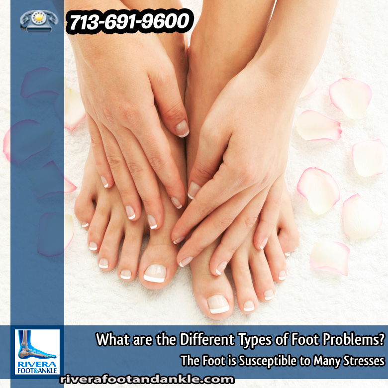 31-what-are-the-different-types-of-foot-problems